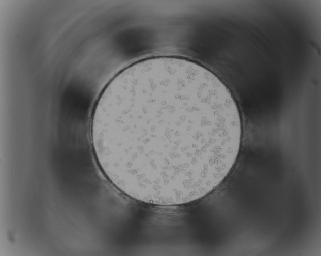 X0000103961342200810101236