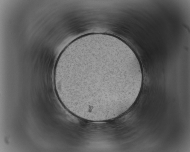 X0000103961343200810101236