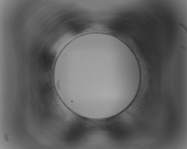 X0000103961344200810101236