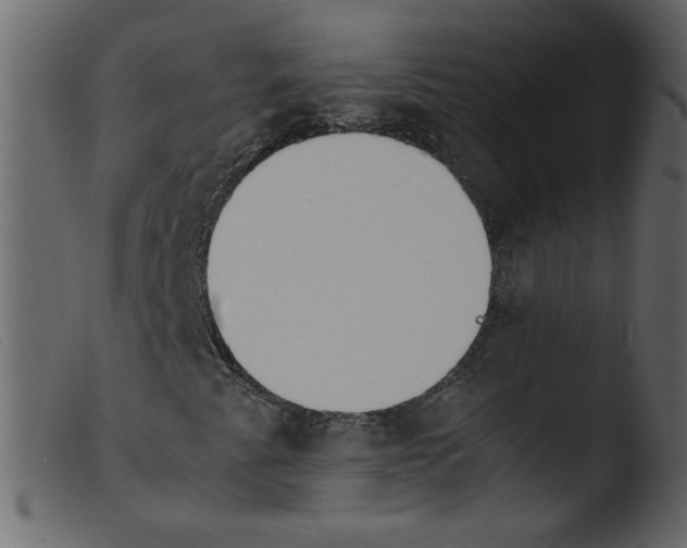 X0000103961345200810101235