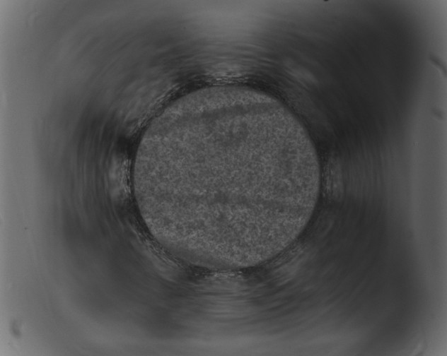 X0000103961346200810101235