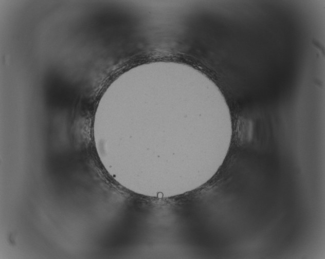 X0000103961348200810101235