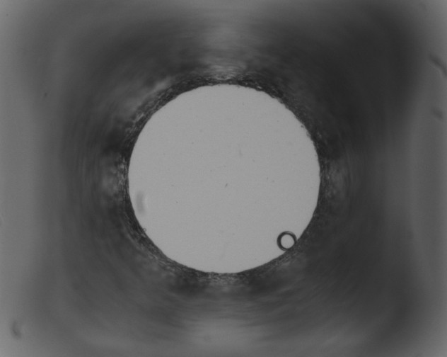 X0000103961349200810101235