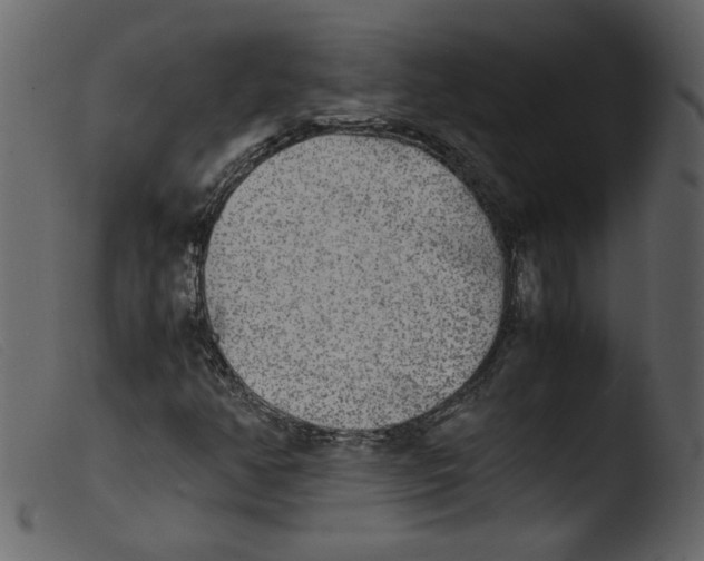 X0000103961350200810101235