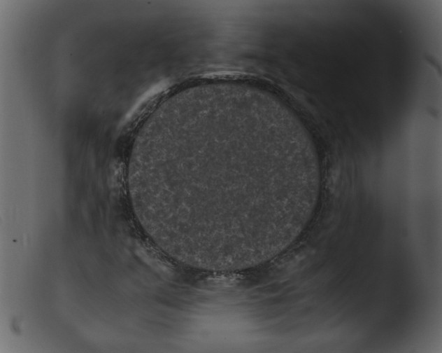 X0000103961351200810101235