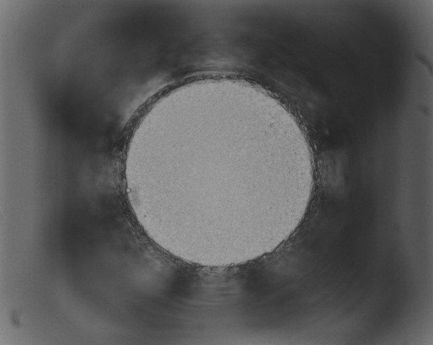 X0000103961352200810101235