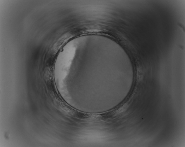 X0000103961353200810101235