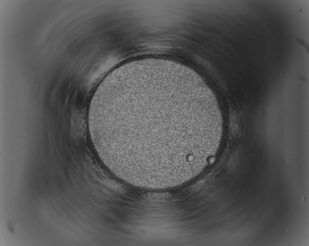 X0000103961354200810101235