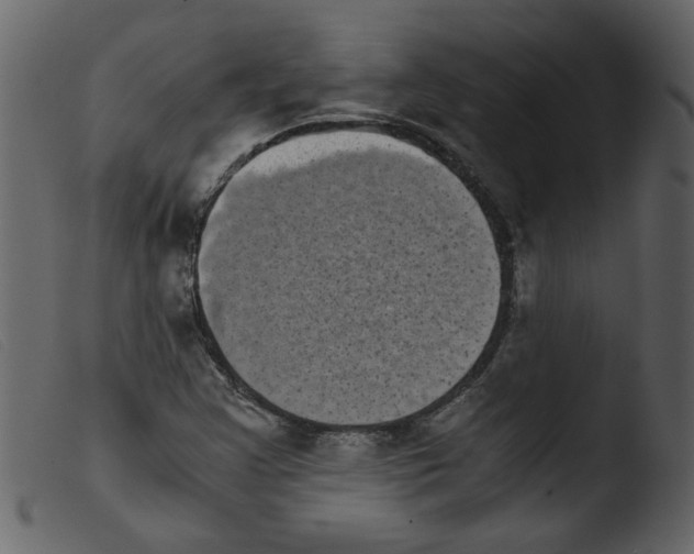 X0000103961355200810101235