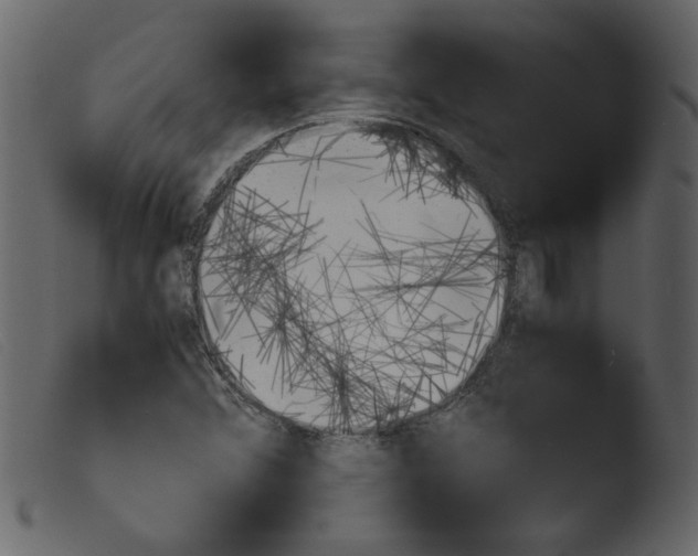 X0000103961356200810101235