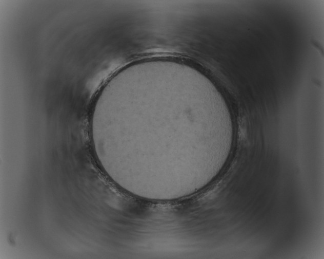 X0000103961357200810101235