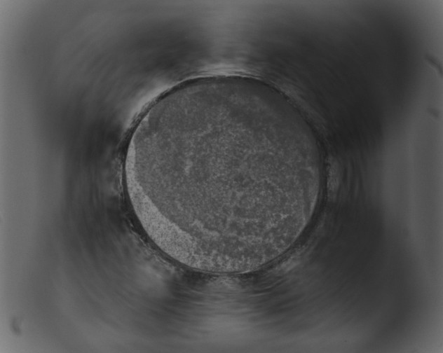 X0000103961358200810101235