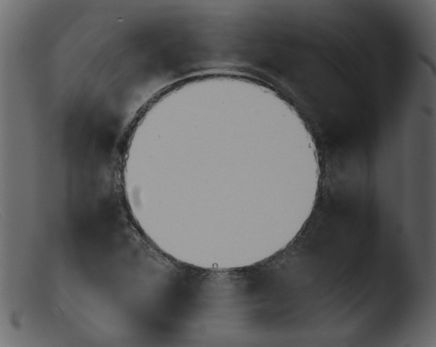 X0000103961360200810101235