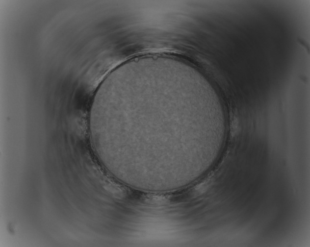 X0000103961361200810101235