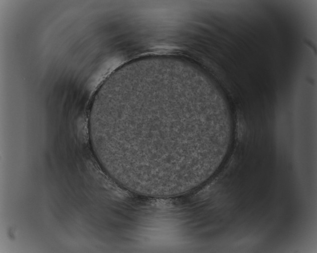 X0000103961362200810101235