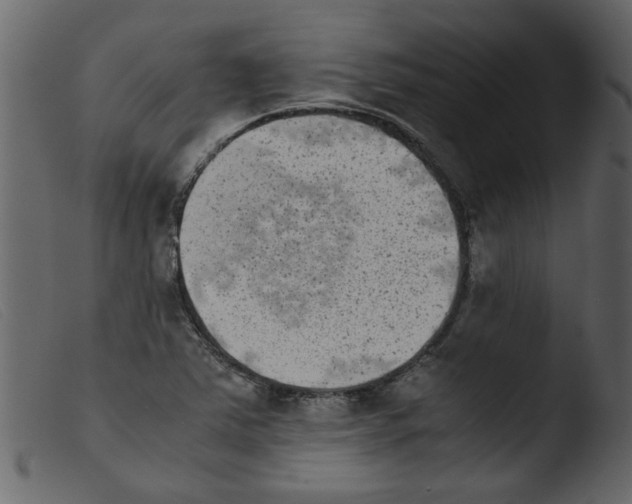 X0000103961363200810101235