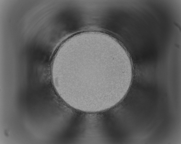 X0000103961364200810101235