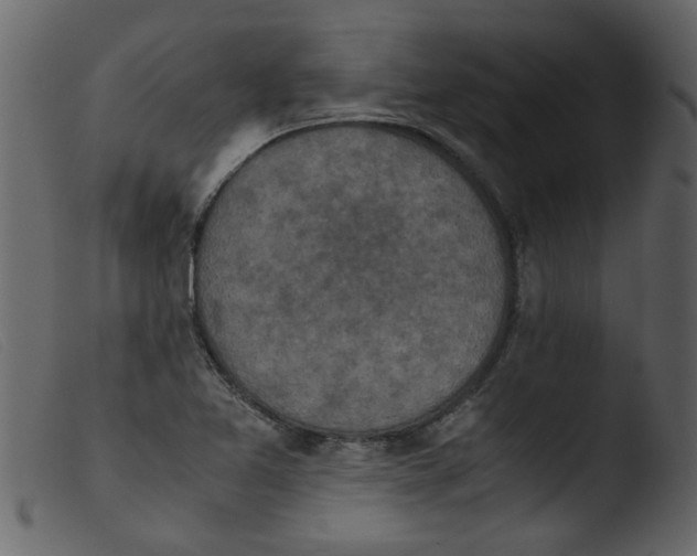 X0000103961365200810101235