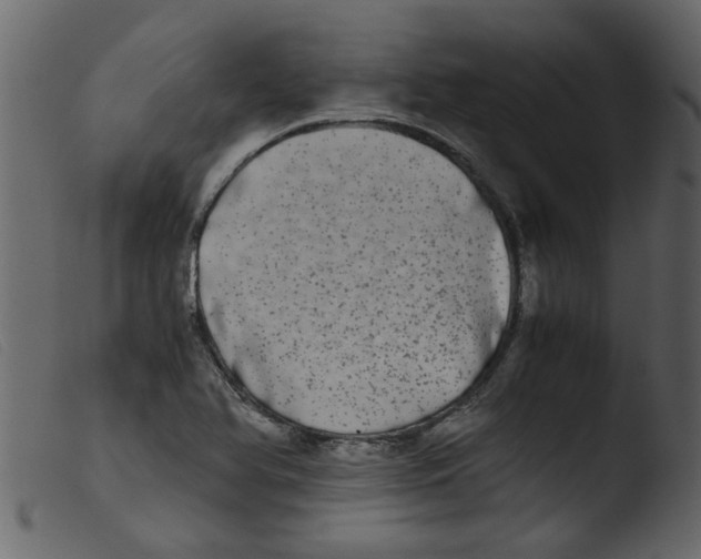 X0000103961366200810101235