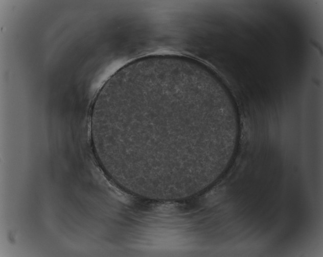 X0000103961367200810101235