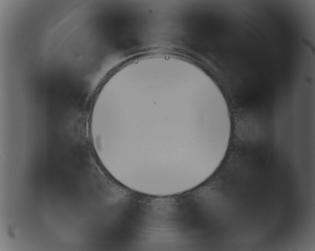 X0000103961368200810101235