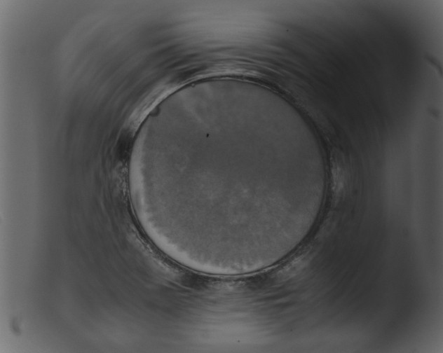 X0000103961369200810101235