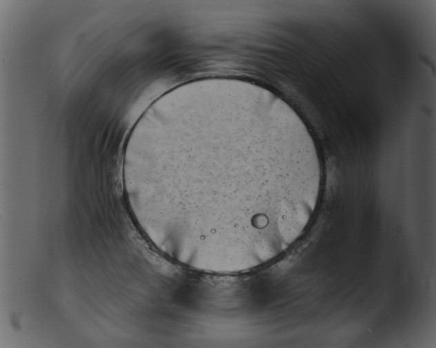 X0000103961370200810101235