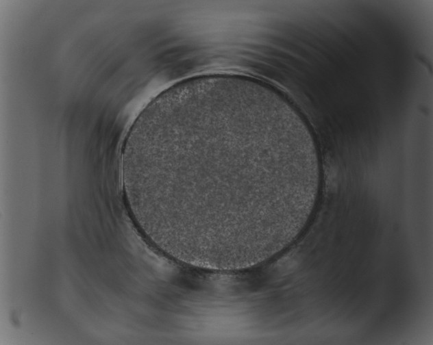 X0000103961371200810101235