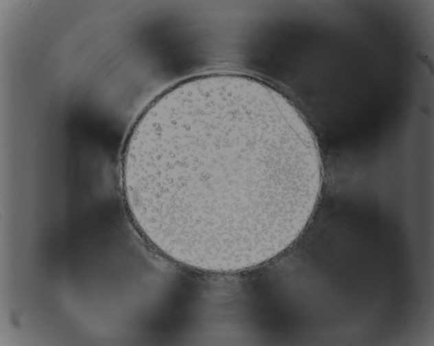 X0000103961372200810101235