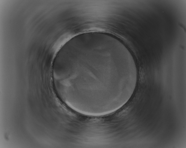 X0000103961373200810101234