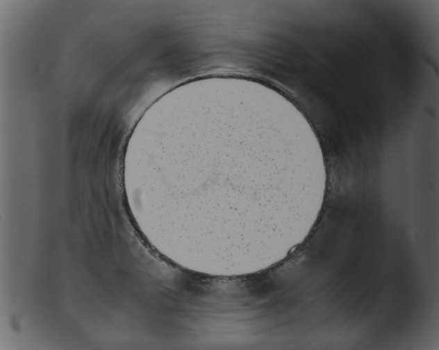 X0000103961375200810101234