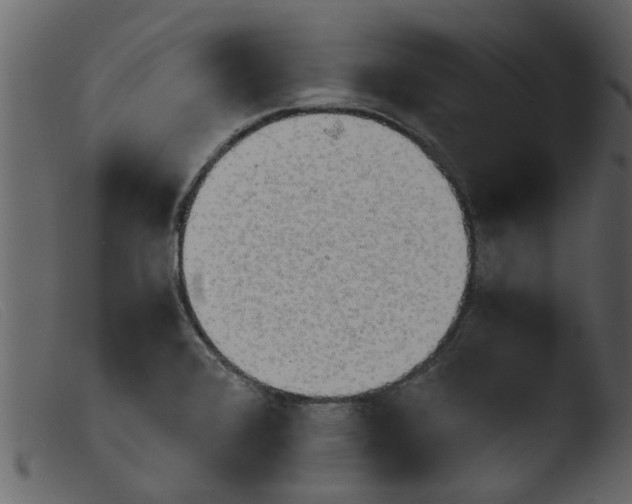 X0000103961376200810101234