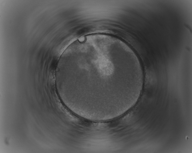 X0000103961377200810101234