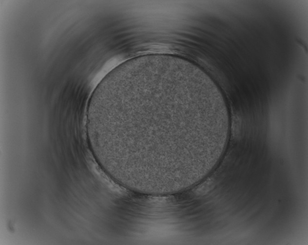 X0000103961378200810101234