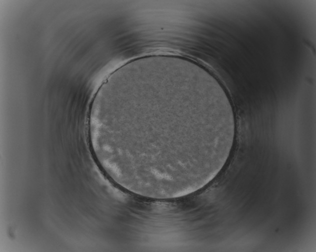 X0000103961379200810101234