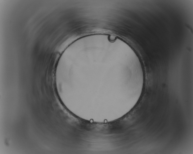 X0000103961381200810101234