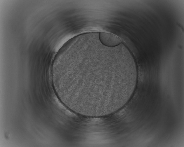 X0000103961382200810101234