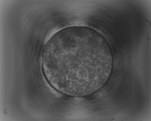 X0000103961383200810101234