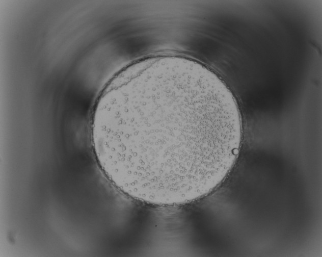 X0000103961384200810101234