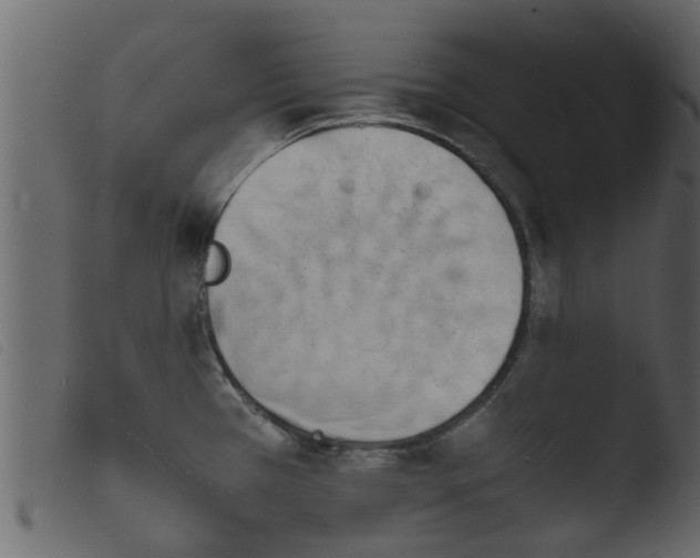 X0000103961385200810101234