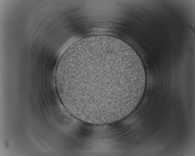 X0000103961386200810101234