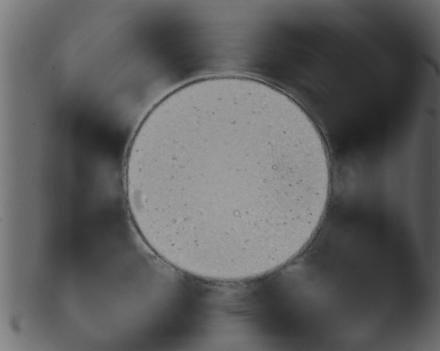 X0000103961388200810101234