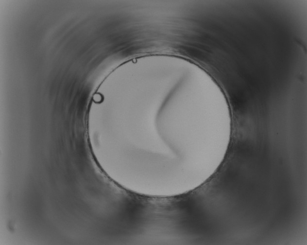 X0000103961389200810101234