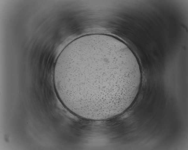 X0000103961390200810101234