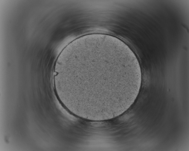 X0000103961391200810101234