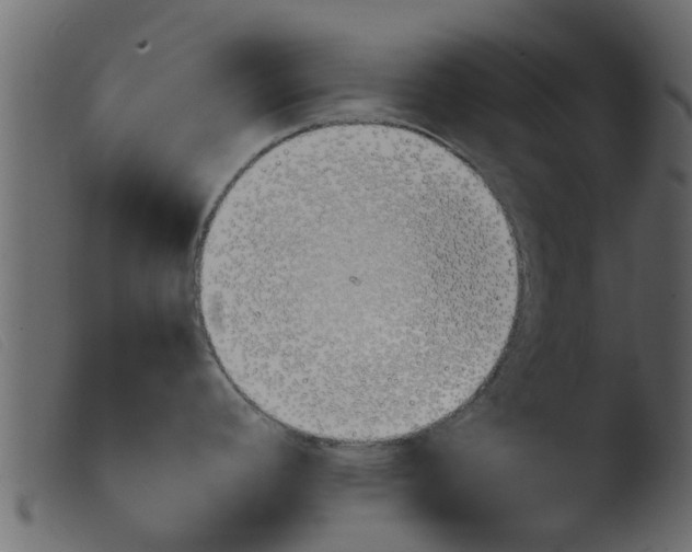 X0000103961392200810101234