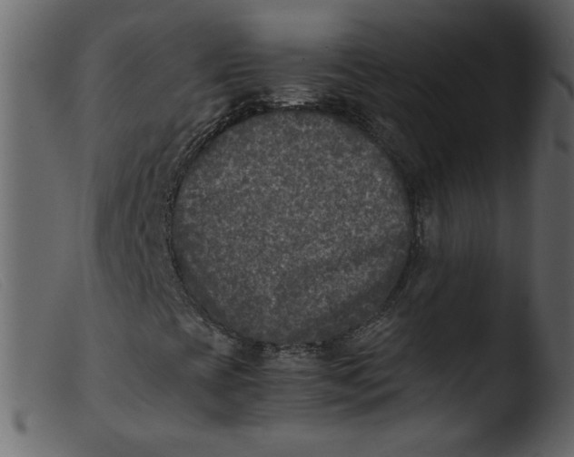 X0000103961393200810101233