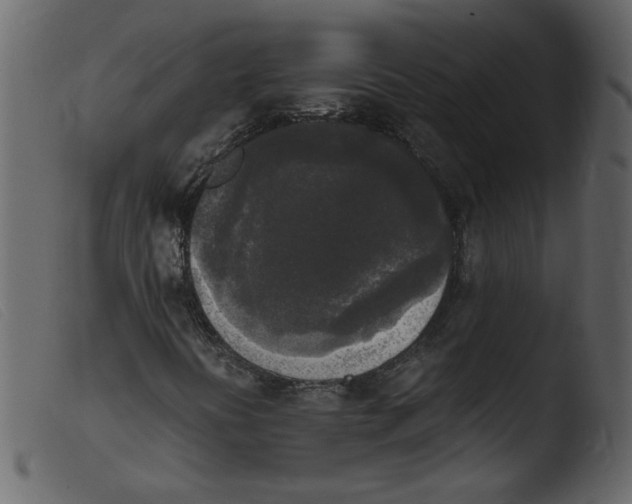 X0000103961394200810101233