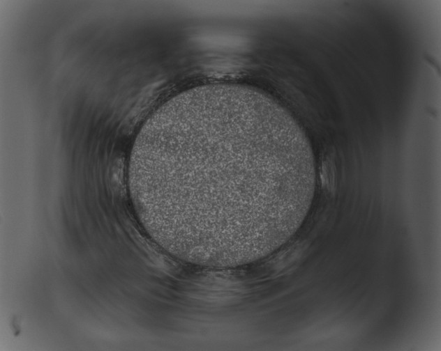 X0000103961396200810101233