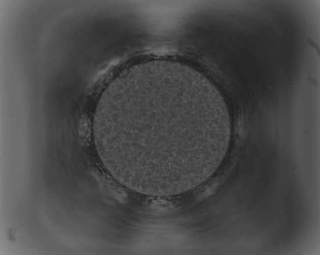 X0000103961398200810101233